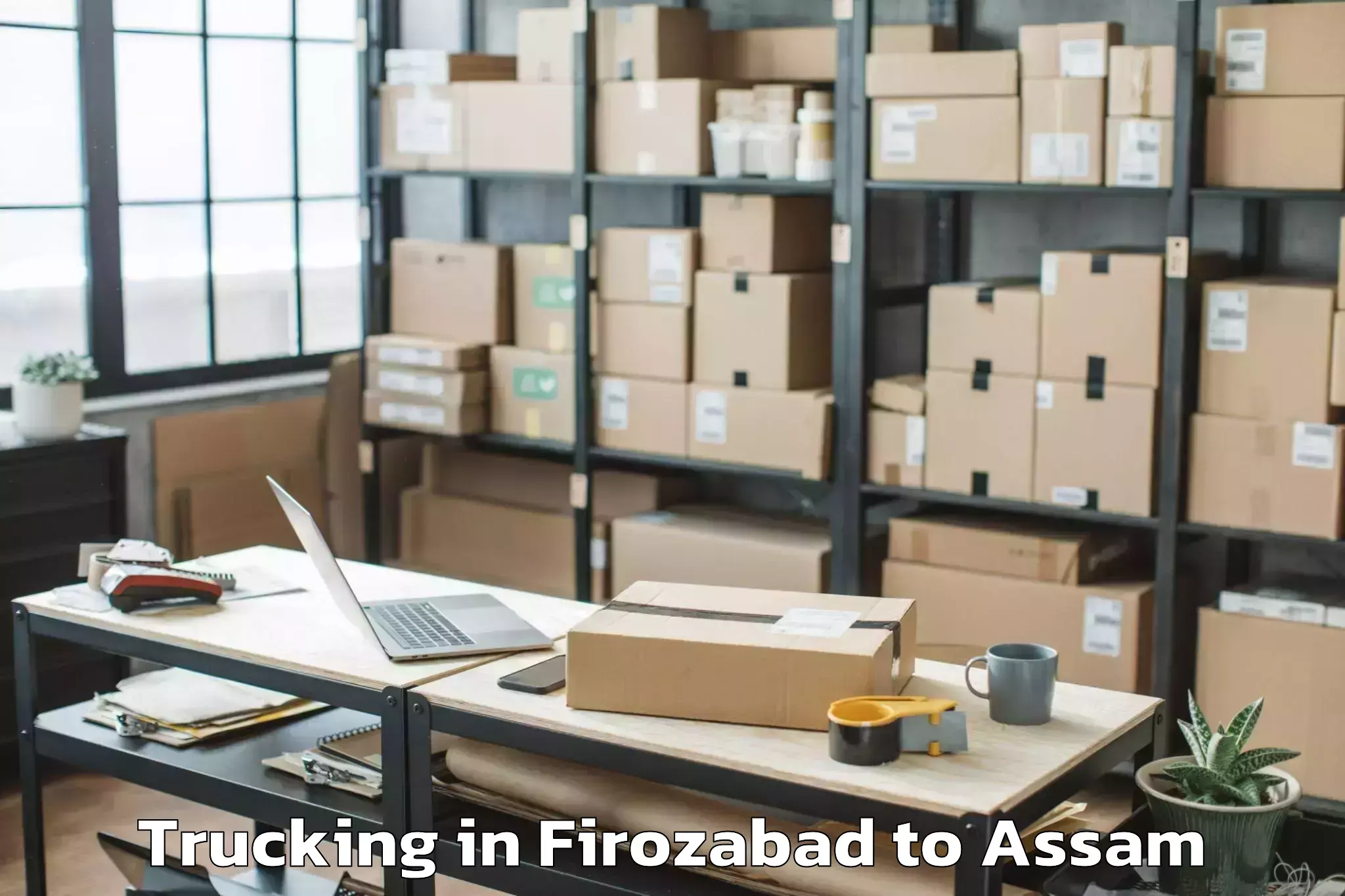 Top Firozabad to Bhowraguri Trucking Available